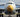 Do you know how planes glide so smoothly without wobbling? Meet the Nose Landing Gear