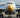 Do you know how planes glide so smoothly without wobbling? Meet the Nose Landing Gear