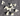 45747909