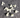 45747909