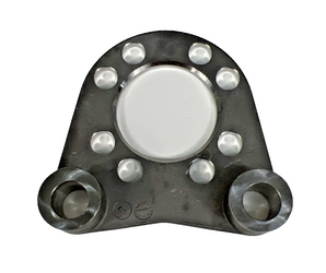 Cleveland Brake Torque Plate  075-19300