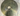 45205153