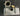 Lycoming 18954 LTIO540 Sump