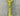 Cessna 310 Main Landing Gear Strut RH