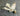 Beechcraft Down lock Main Gear Support 60-810083-2