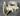 628144 Continental Starter Adapter Housing