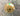 Aircraft Oxygen Fill Valve PN ZV8618