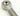 Bearing Rod End FJVV4-19STMC Bell Helicopter